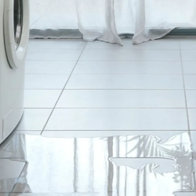Appliance Leak Cleanup in Payson, AZ